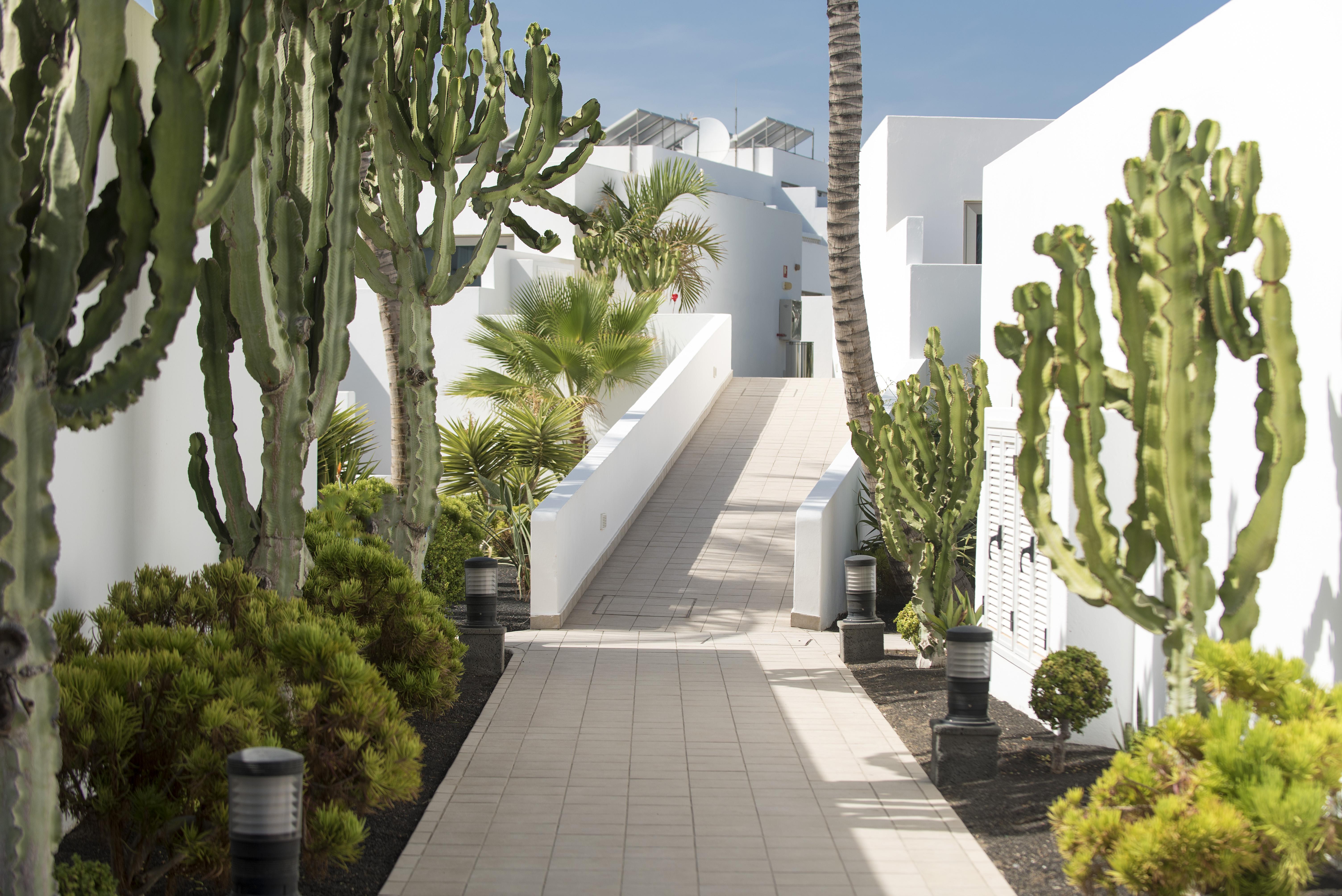 Hotel Las Costas Puerto del Carmen  Dış mekan fotoğraf